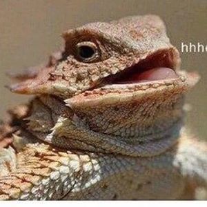 Meet your Posher, Adrienne